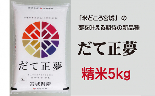 5704 0510 だて正夢 精米5kg 宮城県岩沼市 ふるさと納税 ふるさとチョイス