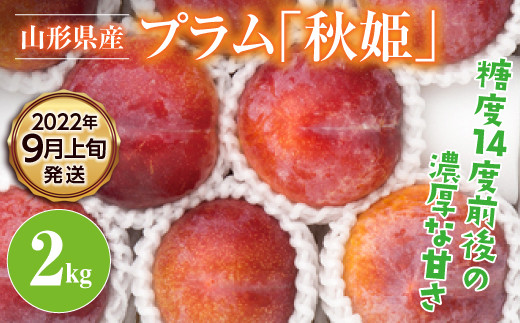 Fyn9 386 数量限定 先行予約 山形県産 プラム 秋姫 2kg 22年9月上旬より発送 山形県西川町 ふるさと納税 ふるさとチョイス