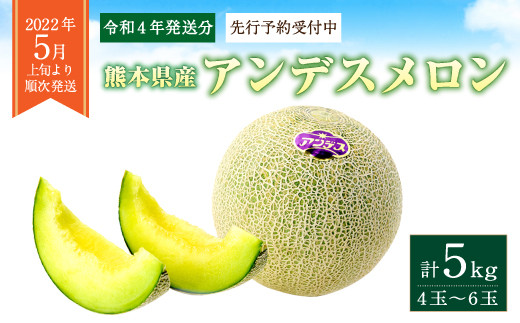 令和4年発送分 先行予約受付中 アンデスメロン 4玉 6玉 1箱5kg 熊本県多良木町 ふるさと納税 ふるさとチョイス