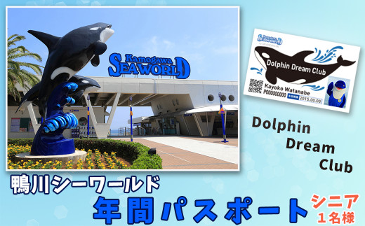 鴨川シーワールド 年間パスポート シニア 60歳以上 １名 3 2 1