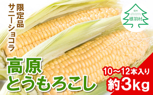 大人気！令和4年度産 高原とうもろこし サニーショコラ 10～12本入 約3Kg ※予約商品※ - 長野県根羽村 | ふるさと納税 [ふるさとチョイス]