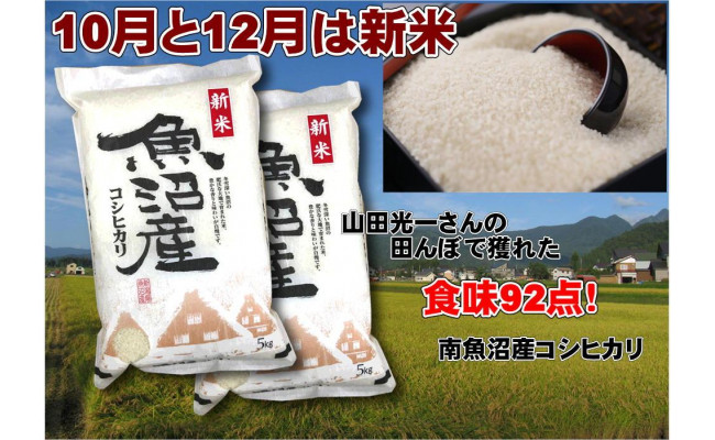 南魚沼定期便】南魚沼産コシヒカリ10ｋｇ（5ｋｇ×2袋 / 偶数月にお届け全6回） - 新潟県南魚沼市｜ふるさとチョイス - ふるさと納税サイト