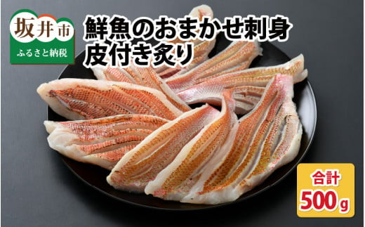 極旨 トレピチ鮮魚のおまかせ刺身用 皮付き炙り 250g 2パック 計500g A 5813 福井県坂井市 ふるさと納税 ふるさとチョイス