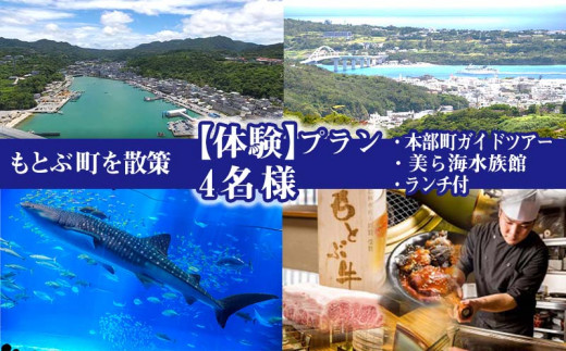 もとぶ町を散策 体験 プラン 4名 本部町ガイドツアー 美ら海水族館 ランチ付 沖縄県本部町 ふるさと納税 ふるさとチョイス