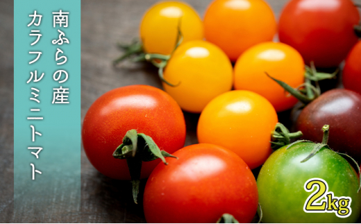 ミニトマト トマトの人気商品 通販 価格比較 価格 Com