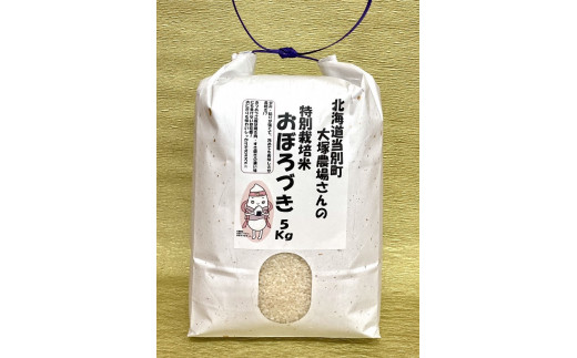 【北海道当別町】[B2.1-67]　特別栽培米おぼろづき　白米5kg　3ヶ月定期便