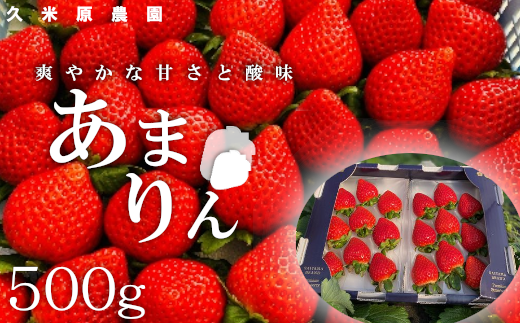 埼玉県産いちご あまりん 【11211-0185】 - 埼玉県本庄市｜ふるさと
