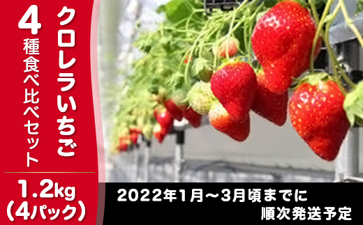 64 2クロレラいちご4種食べ比べセット1 2kg 4パック 茨城県下妻市 ふるさと納税 ふるさとチョイス