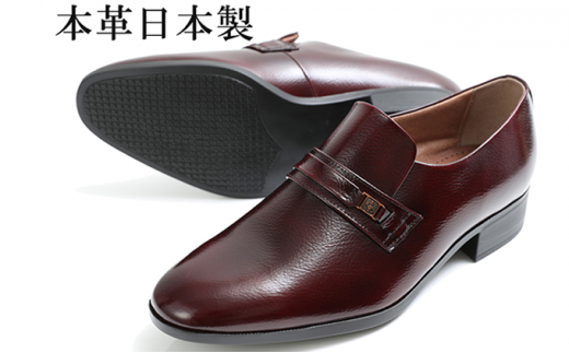 yޗǌaSRszrWlXV[Y {v vC amC v[ Xb| L Ch No.111 C 25.5 [5990-5250]0513