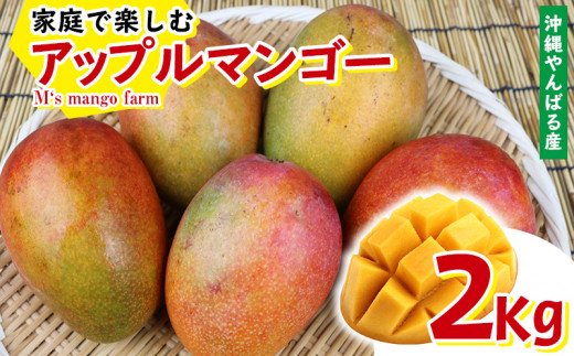【沖縄県名護市】【沖縄やんばる産】2kg　家庭で楽しむアップルマンゴー （M‘s mango farm）
