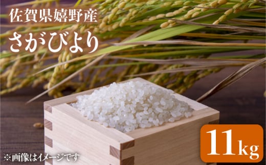 yꌧszߘa7NY т11kg ygc܂񂼂فz [NAG006]   ꌧ Y т uh