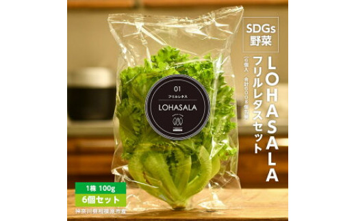 SDGs野菜 LOHASALAフリルレタスセット (6個入/合計600g個包装