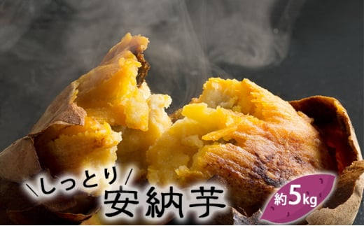 yxRXszxRY ܂iƂI[j5kg @Tc}C [