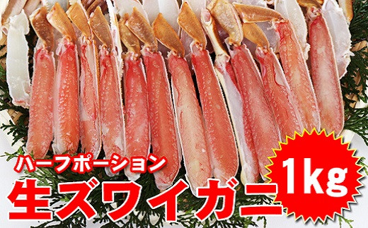 13】生ずわい蟹ハーフポーション1.2kg_NA91 - 大阪府阪南市｜ふるさと