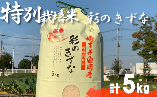 令和6年産＞特別栽培米 彩のきずな 5kg 【11246-0107】 - 埼玉県白岡市｜ふるさとチョイス - ふるさと納税サイト