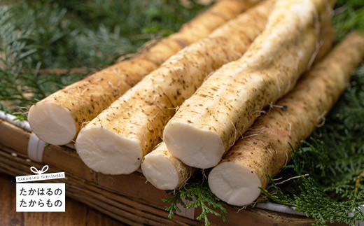 y{茧zsʌEstt̎R(1kgȏ) VR̂ނɎgpI [ R XgbvICΉ] TF0503-P00042