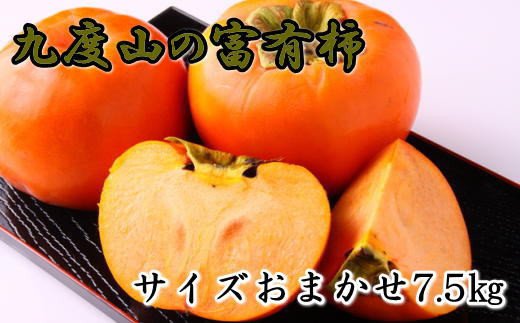 柿の名産地]九度山の富有柿約7.5kgサイズおまかせ※2024年11月上旬