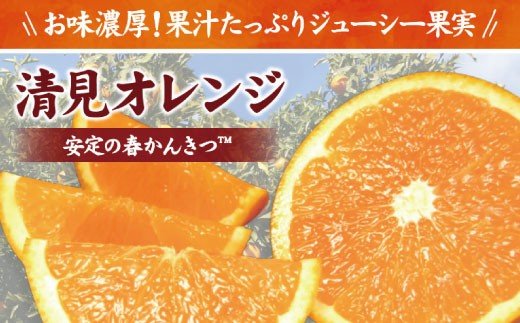 清見オレンジ約8kg / 果実サイズおまかせ ※2024年2月中旬～4月下旬頃