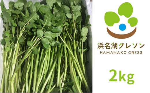 yÉlszl΃N\ 2kgyzsFkCEEz [5786-4164]