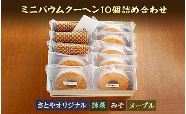 (業務用10セット) トンボ鉛筆 スティックのり消えいろピット PT-NC 20個 ×10セット ds-1740502
