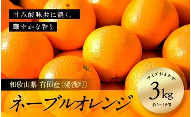 有田産(湯浅町)ネーブル 9～15個（約3キロ) サイズおまかせ - 和歌山県那智勝浦町｜ふるさとチョイス - ふるさと納税サイト