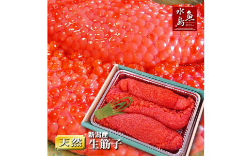 令和6年産 先行予約 生筋子 1kg【 新潟県産 予約 はらこ いくら J41 】 - 新潟県新発田市｜ふるさとチョイス - ふるさと納税サイト