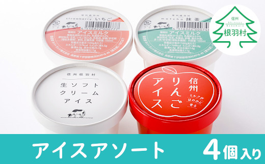 南信州根羽村産　手作りアイスセット　お試し4個セット(4種類×1個) アイスクリーム 4000円