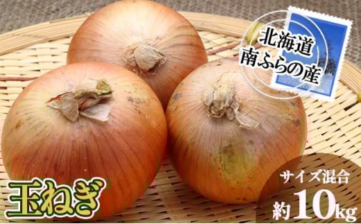 ykCxǖ쒬zӂ̎Y ʂ˂ 10kg yTCYz kC xǖ쒬 2026N s\ kC xǖ쒬  ʔK ʃlM ʂ˂ lM ˂ s\  ܂˂