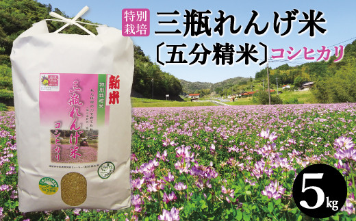五分精米〉特別栽培 三瓶れんげ米 コシヒカリ 5kg【令和6年産 お米 5kg 
