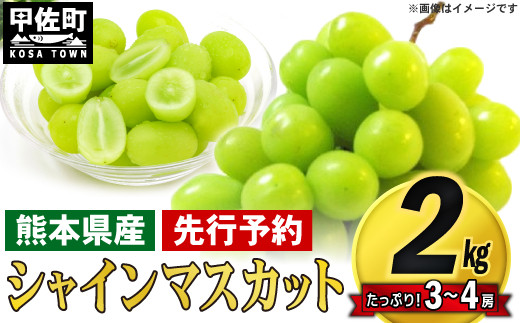 シャインマスカット 2kg - 食品の人気商品・通販・価格比較 - 価格.com