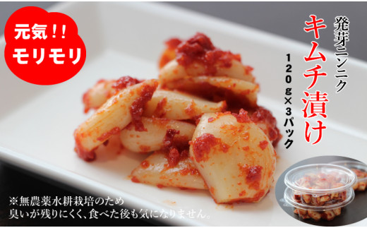 発芽ニンニクのピり辛キムチ漬け（3パック）臭いが気にならない - 佐賀 