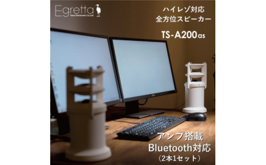 Egretta(エグレッタ) デスクトップサイズ・ハイレゾスピーカー TS