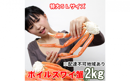 ボイルズズワイガニ 5L 2kg - 兵庫県明石市｜ふるさとチョイス - ふるさと納税サイト