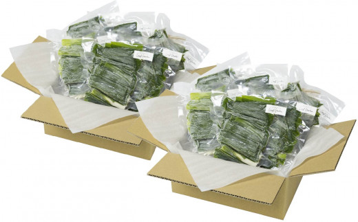 高知県産葉にんにく　葉ニンニク　野菜　産地直送5kg mwjw 高知県産【高級食材♪葉ニンニク】5kg 農家直送！ 産地直送 野菜