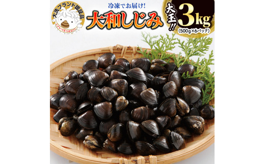 大和 しじみ 3kg 500g 6 大玉 冷凍 砂抜き済 大洗町 ブランド認証品 三大産地 涸沼産 レシピ付 シジミ 蜆 茨城県大洗町 ふるさと納税 ふるさとチョイス