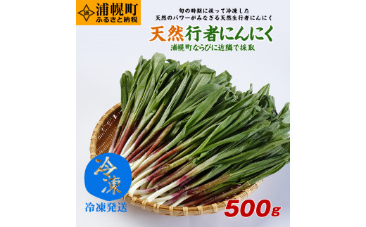 行者ニンニク 1500g No.5 北海道産 - 野菜