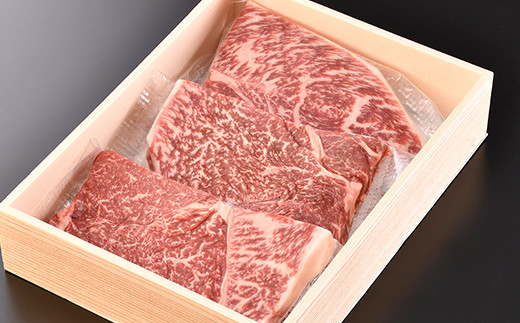 yꌧߍ]szyPRLy[Ώہzߍ]vXe[Ly480gzyDK08Wz