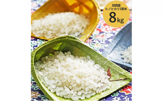 米 令和5年産 加西産 ヒノヒカリ 1等米 8kg（白米）