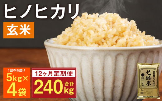 定期便12ヶ月】熊本県菊池産 ヒノヒカリ 玄米 計240kg（5kg×4袋×12回