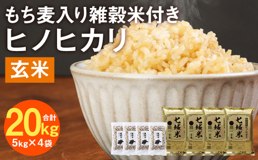 新米!!農家直送自然栽培 無農薬 れんげ米 玄米10kg 青白い 菊池市七