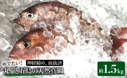 天然 鯛 刺身 食品の人気商品 通販 価格比較 価格 Com 天然 鯛 刺身 食品の人気商品 通販 価格比較 価格 Com