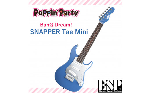 BanG Dream! SNAPPER Tae Mini ≪バンドリ！ ミニギター 花園たえ