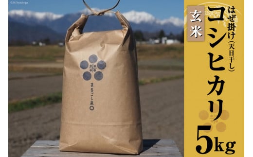 y쌧rcz ߘa7N ͔|Ԓ_Ew엿sgp ͂| V RVqJ  5kg [܂邲_ 쌧 rc 48110697]