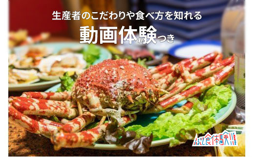 体験動画セット 南伊豆町 駿河湾で獲れた タカアシガニ 1 3 1 5kg 静岡県南伊豆町 ふるさとチョイス ふるさと納税サイト