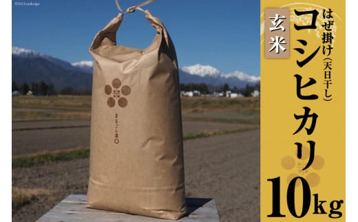 y쌧rcz ߘa7N ͔|Ԓ_Ew엿sgp ͂| V RVqJ  10kg [܂邲_ 쌧 rc 48110698]