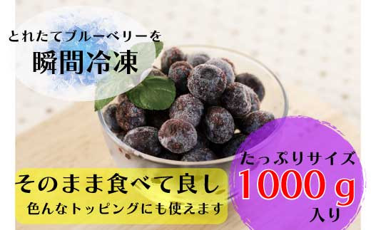 丹波市産 冷凍ブルーベリー 1kg