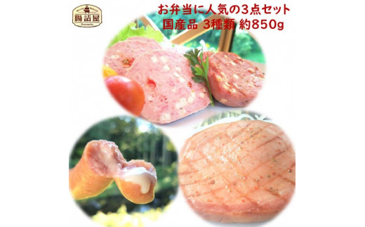 サンプル写真