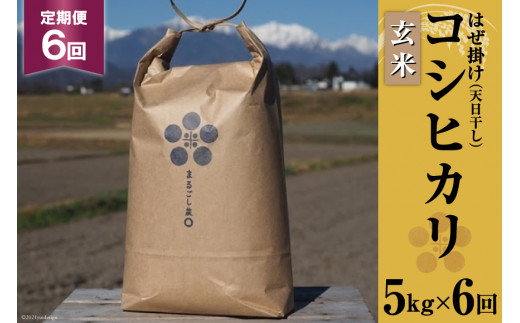 y쌧rcz ߘa7N 6  ͔|Ԓ_Ew엿sgp ͂| V RVqJ  5kg×6 v30kg [܂邲_ 쌧 rc 48110715]  Ђ 