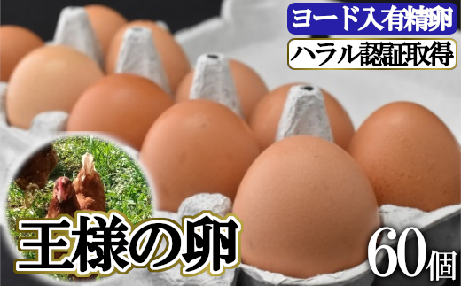 【茨城県牛久市】王様の卵　ヨード入　60個
