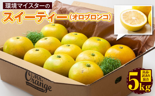 yF{sz}CX^[̃XC[eB[ iIuRj ǕiE󂠂荬 5kgy2025N12{`2026N2{z ʕ  t[c